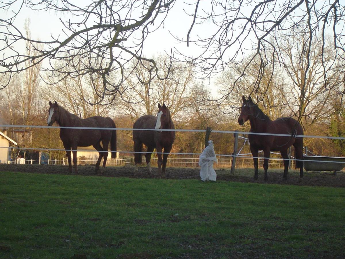 Bed and Breakfast Ferme Passion Saint-Trivier-sur-Moignans Esterno foto